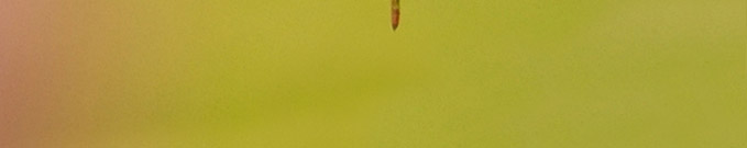 BlattTeil4-1